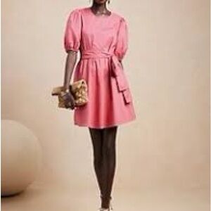 Banana Republic Elegant Pink Puff Sleeve Mini Dress M Tall